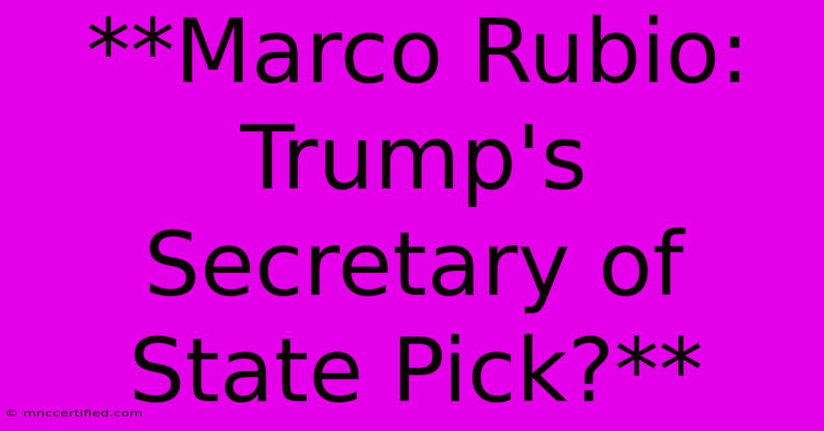 **Marco Rubio: Trump's Secretary Of State Pick?** 