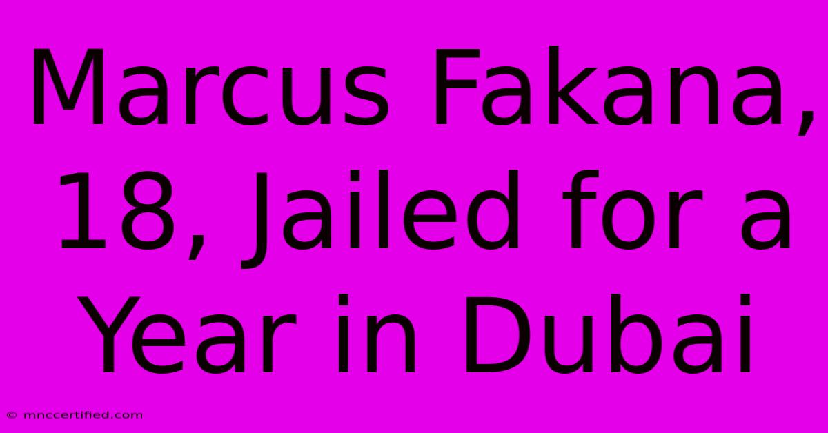 Marcus Fakana, 18, Jailed For A Year In Dubai