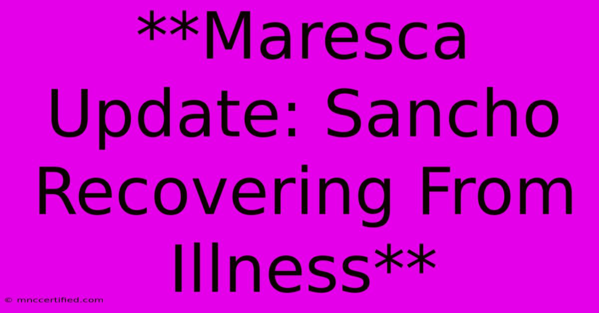 **Maresca Update: Sancho Recovering From Illness**