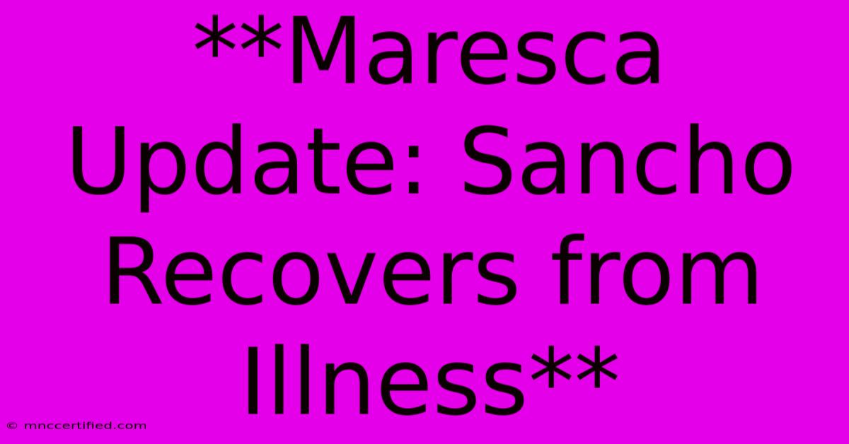 **Maresca Update: Sancho Recovers From Illness**