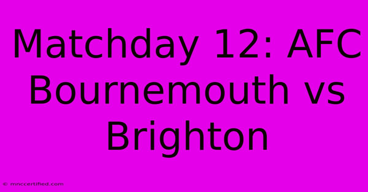 Matchday 12: AFC Bournemouth Vs Brighton