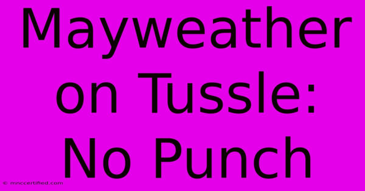 Mayweather On Tussle: No Punch