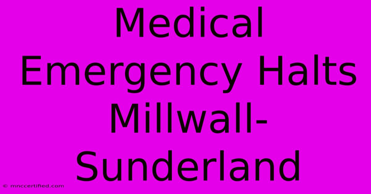 Medical Emergency Halts Millwall-Sunderland