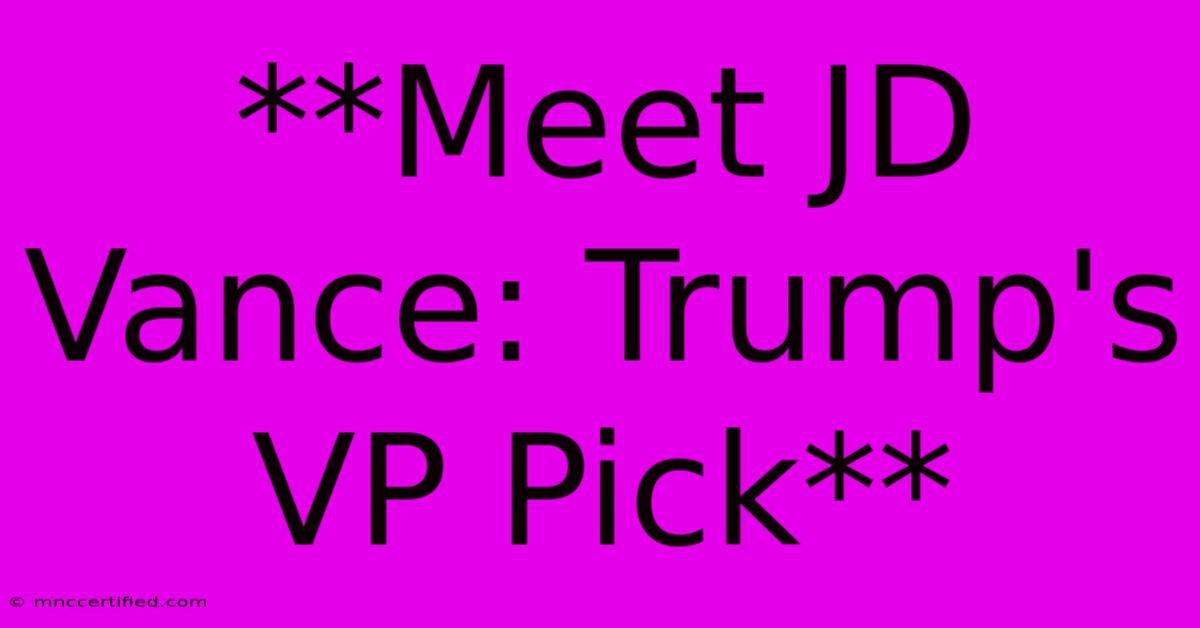 **Meet JD Vance: Trump's VP Pick**