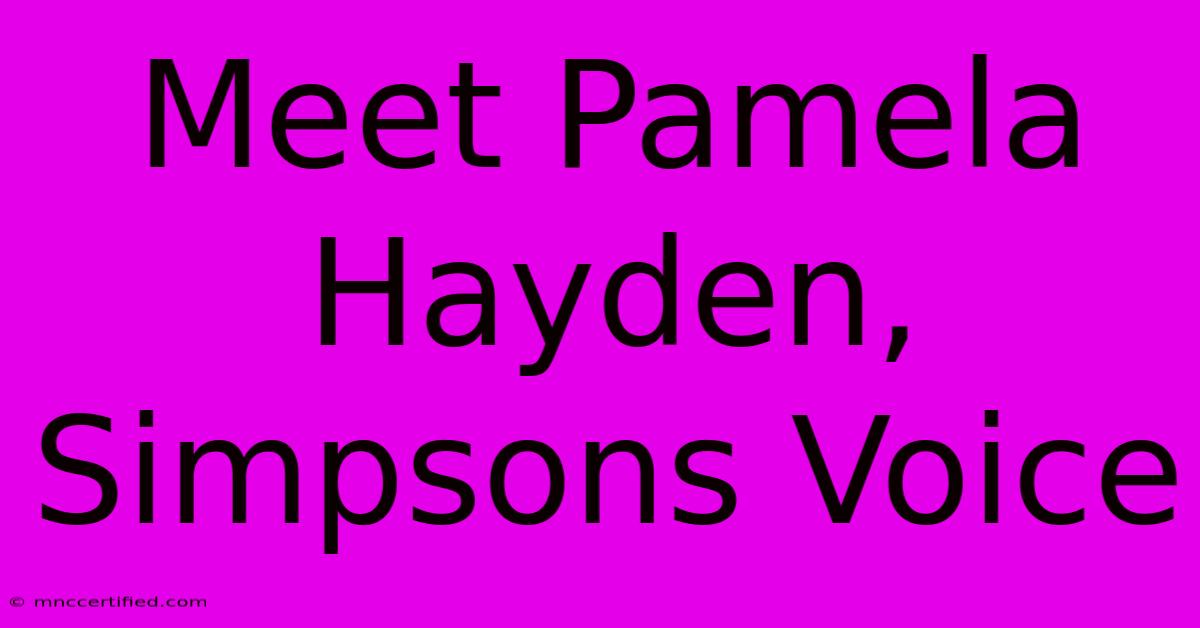 Meet Pamela Hayden, Simpsons Voice