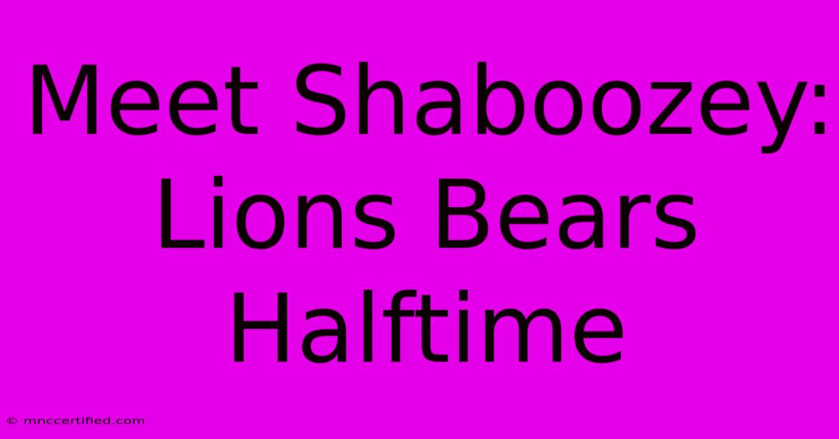 Meet Shaboozey: Lions Bears Halftime