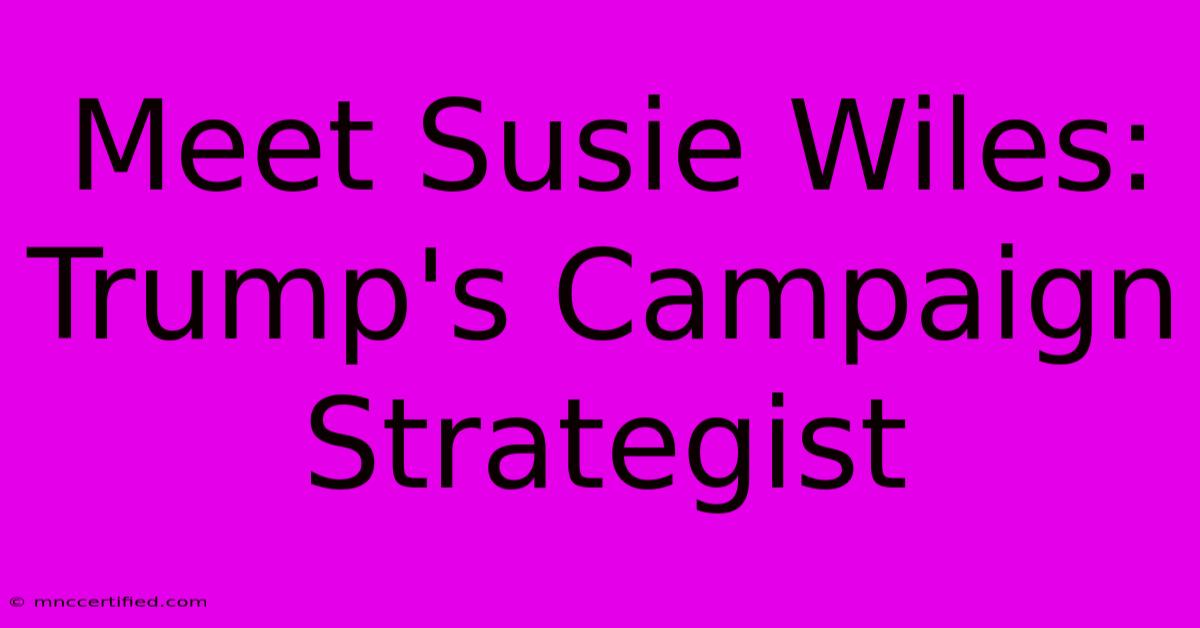 Meet Susie Wiles: Trump's Campaign Strategist