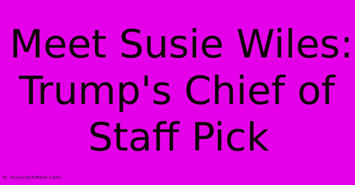 Meet Susie Wiles: Trump's Chief Of Staff Pick