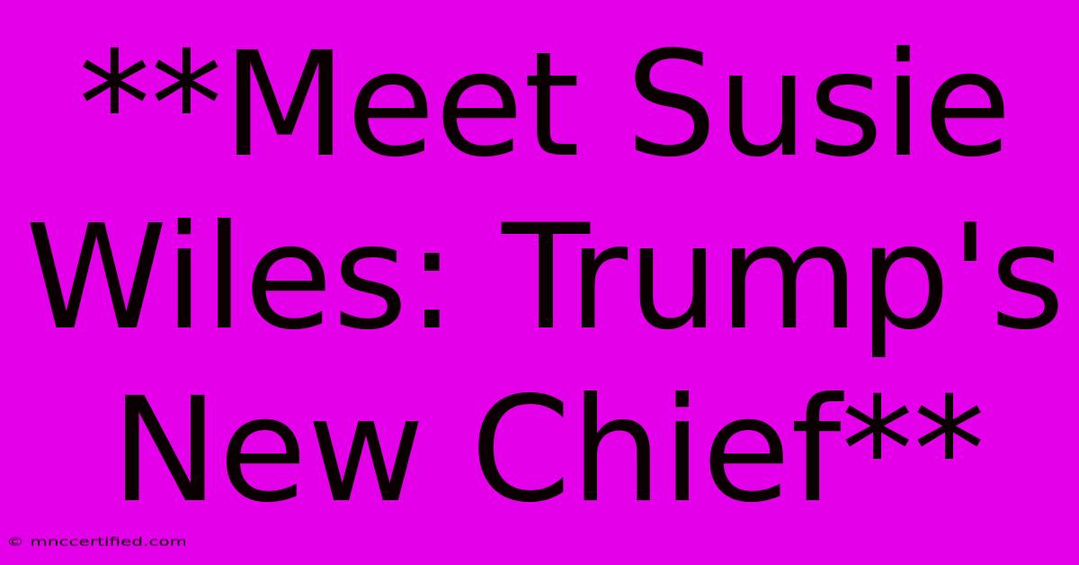 **Meet Susie Wiles: Trump's New Chief**