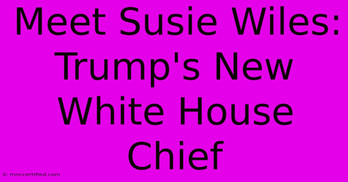 Meet Susie Wiles: Trump's New White House Chief