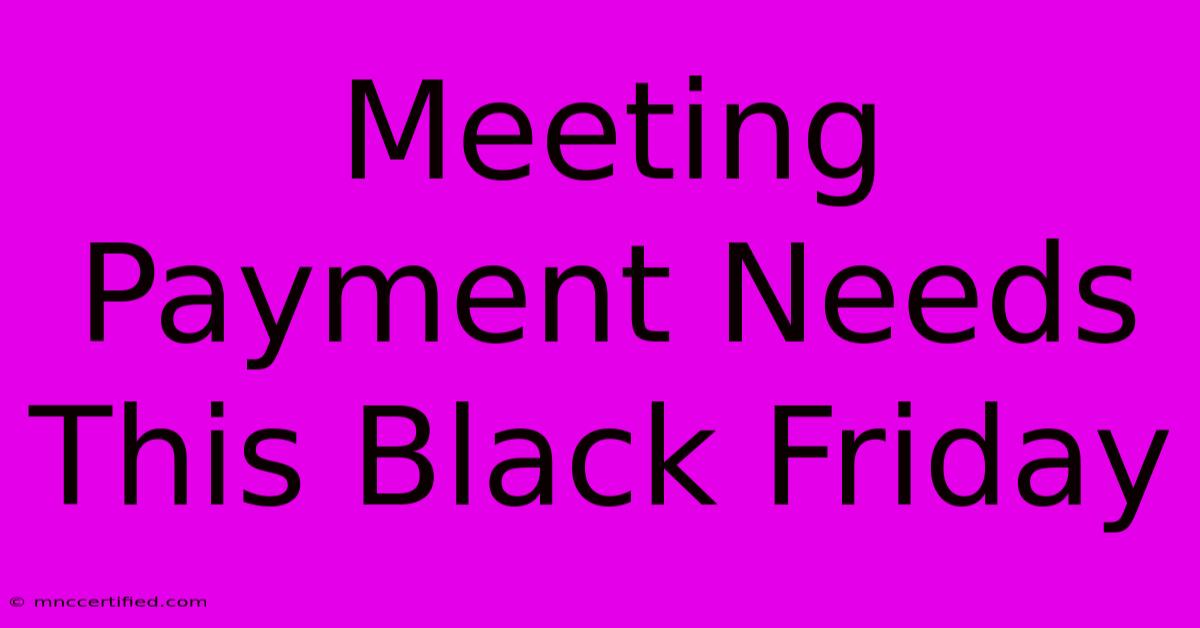 Meeting Payment Needs This Black Friday