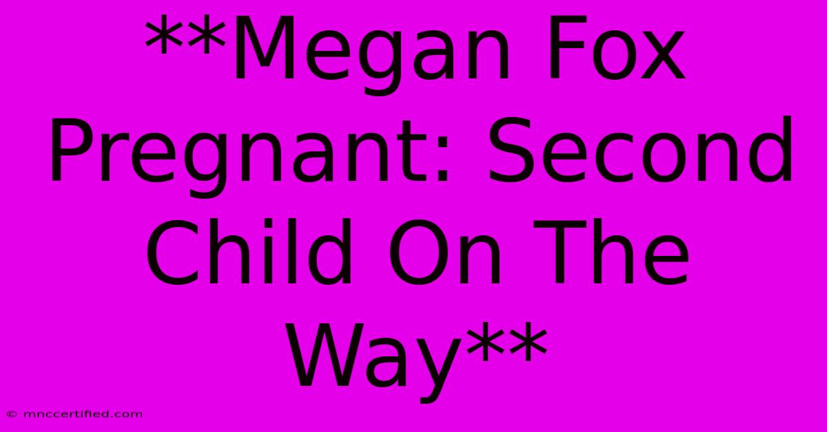 **Megan Fox Pregnant: Second Child On The Way**