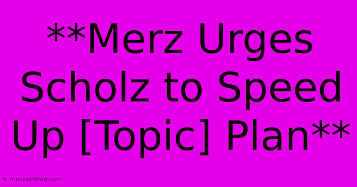 **Merz Urges Scholz To Speed Up [Topic] Plan**