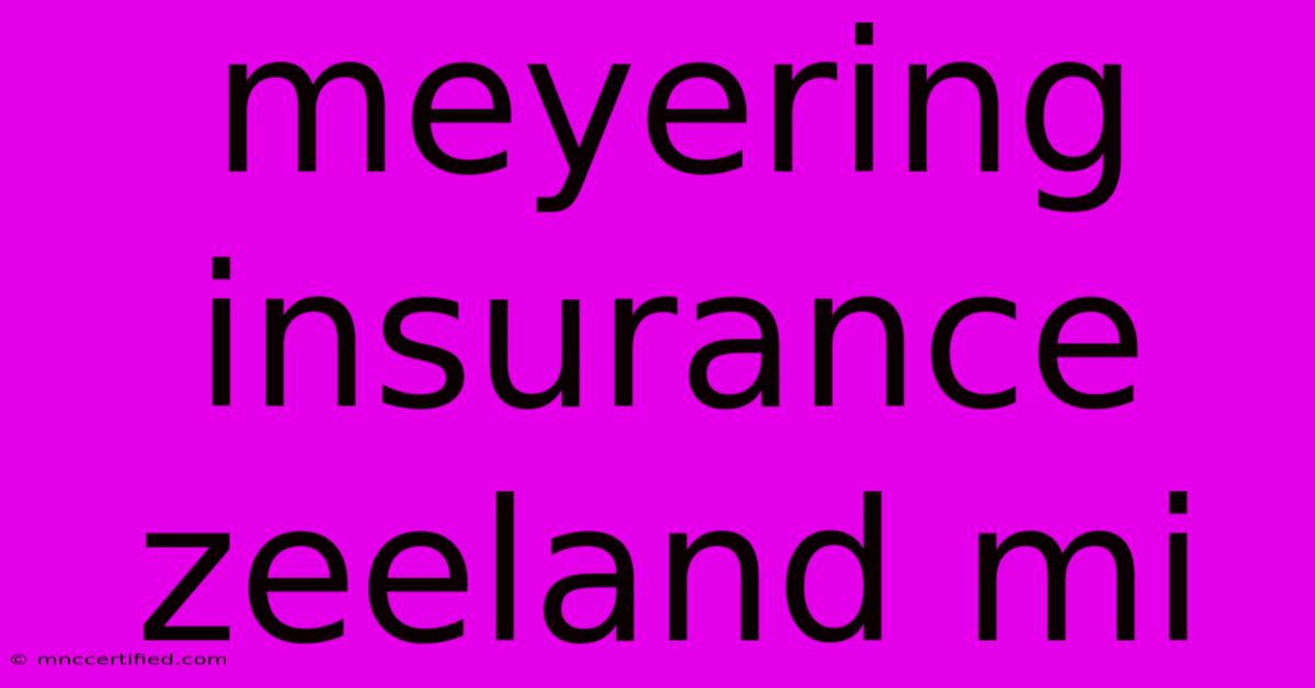 Meyering Insurance Zeeland Mi