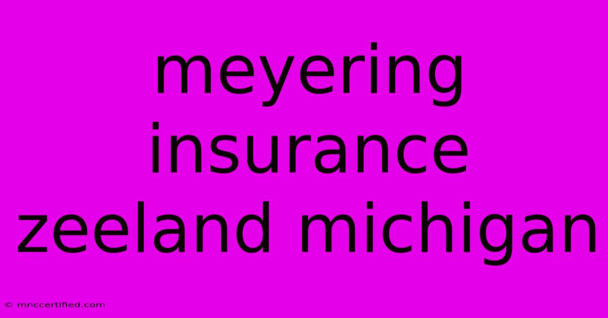 Meyering Insurance Zeeland Michigan