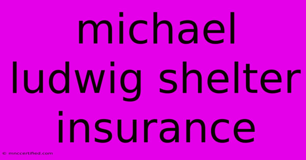 Michael Ludwig Shelter Insurance