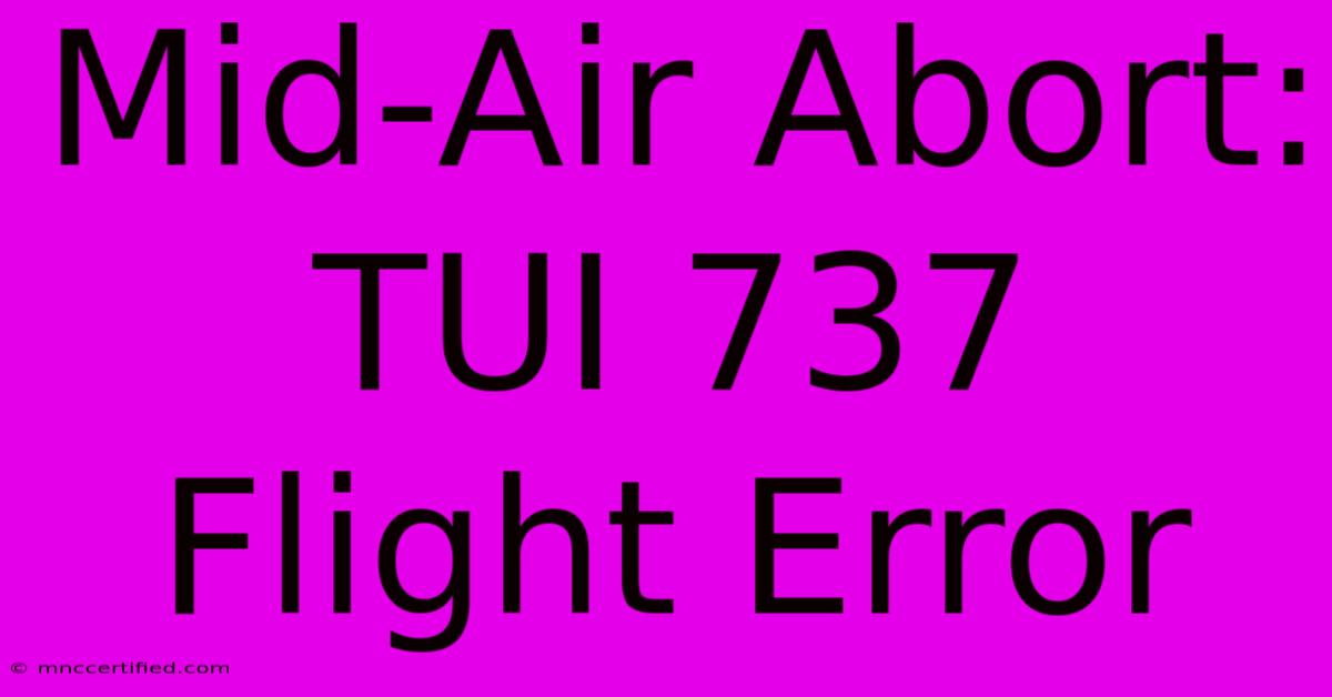 Mid-Air Abort: TUI 737 Flight Error