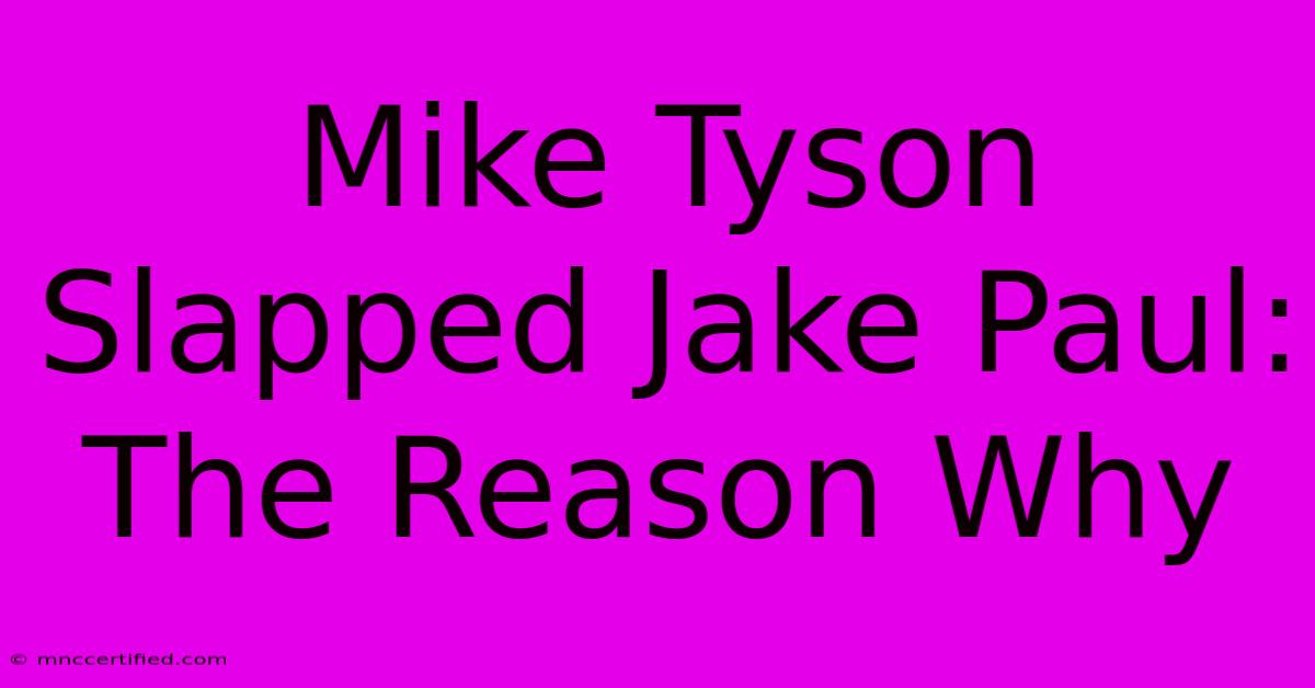 Mike Tyson Slapped Jake Paul: The Reason Why