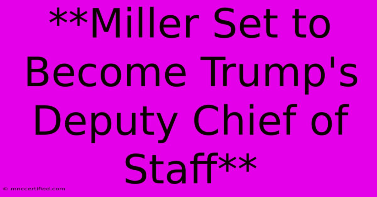 **Miller Set To Become Trump's Deputy Chief Of Staff**