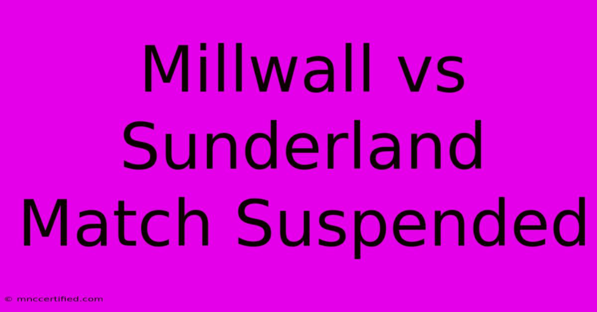 Millwall Vs Sunderland Match Suspended