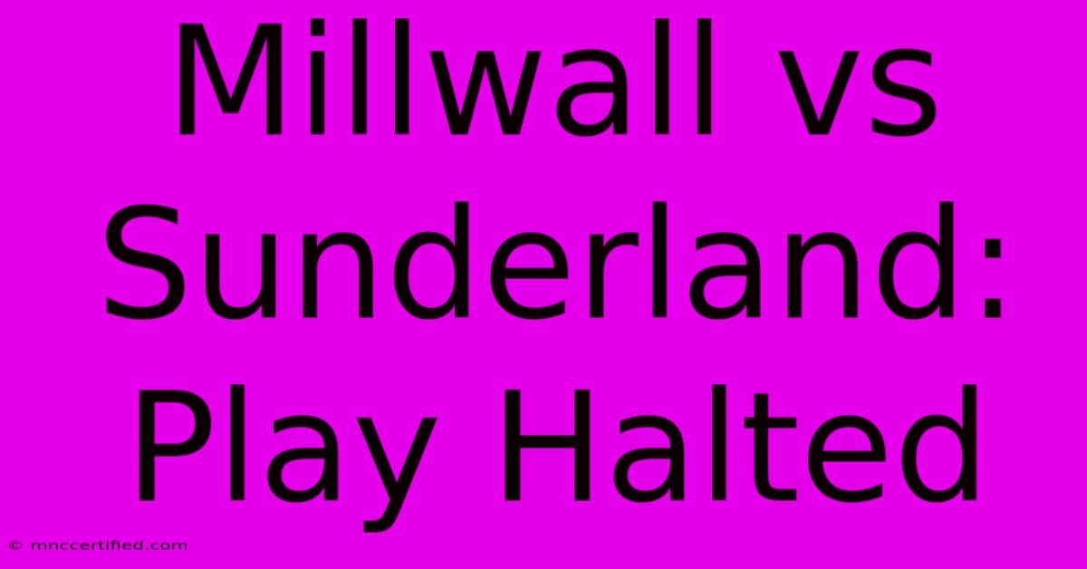 Millwall Vs Sunderland: Play Halted