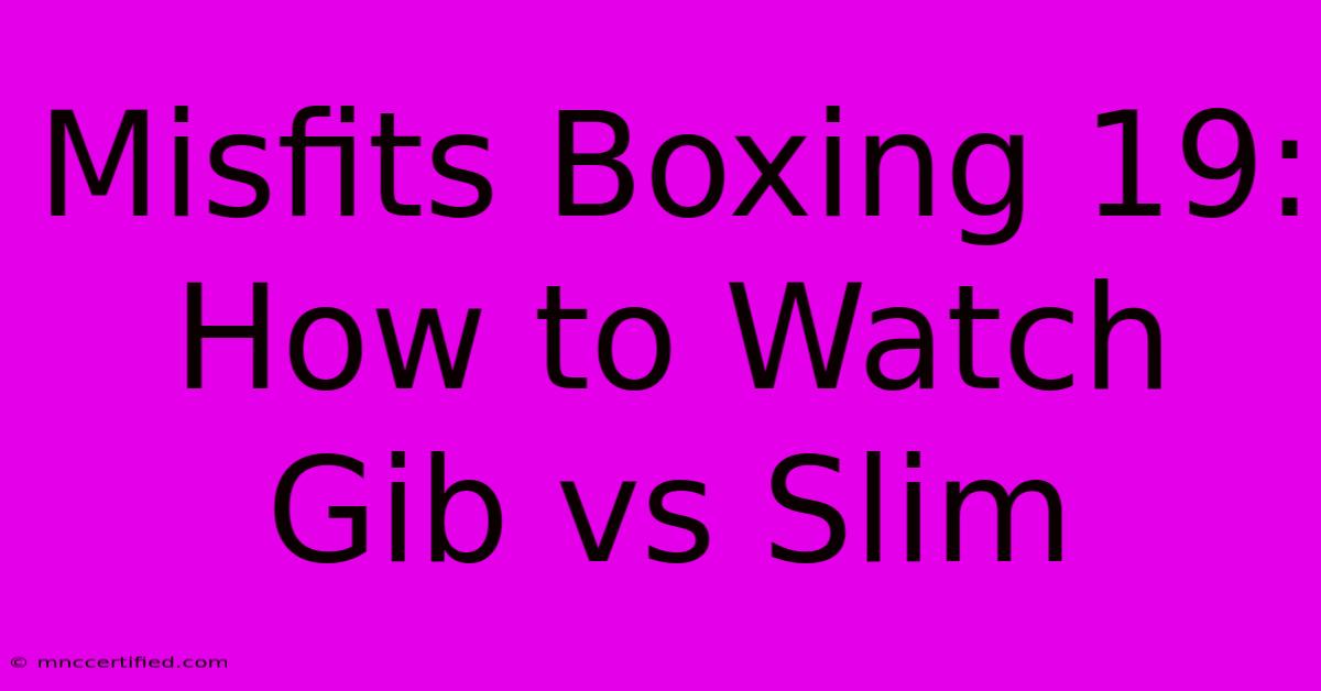 Misfits Boxing 19: How To Watch Gib Vs Slim