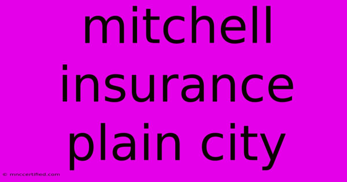 Mitchell Insurance Plain City