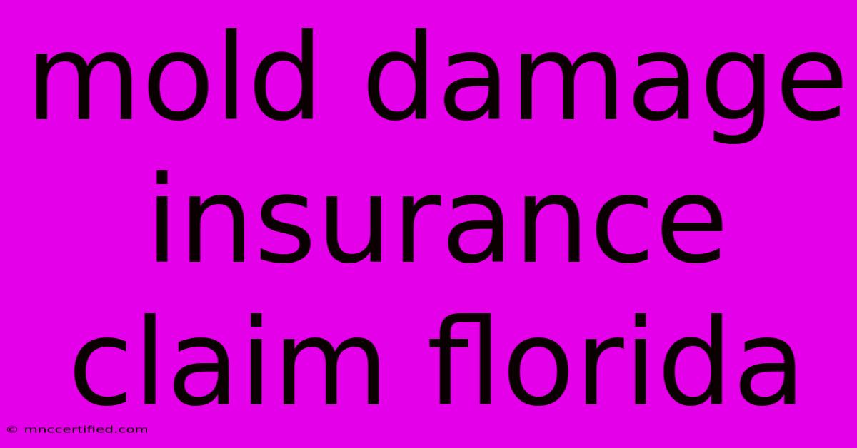 Mold Damage Insurance Claim Florida