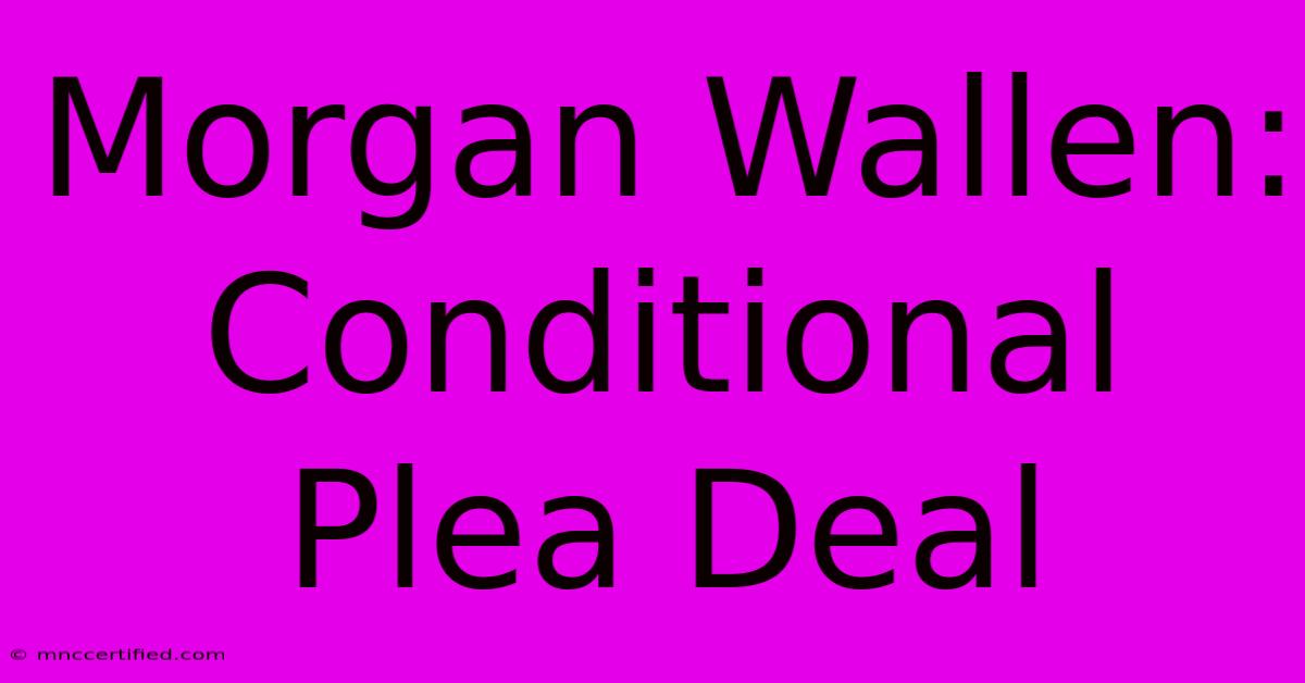 Morgan Wallen: Conditional Plea Deal