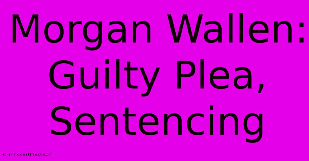 Morgan Wallen: Guilty Plea, Sentencing