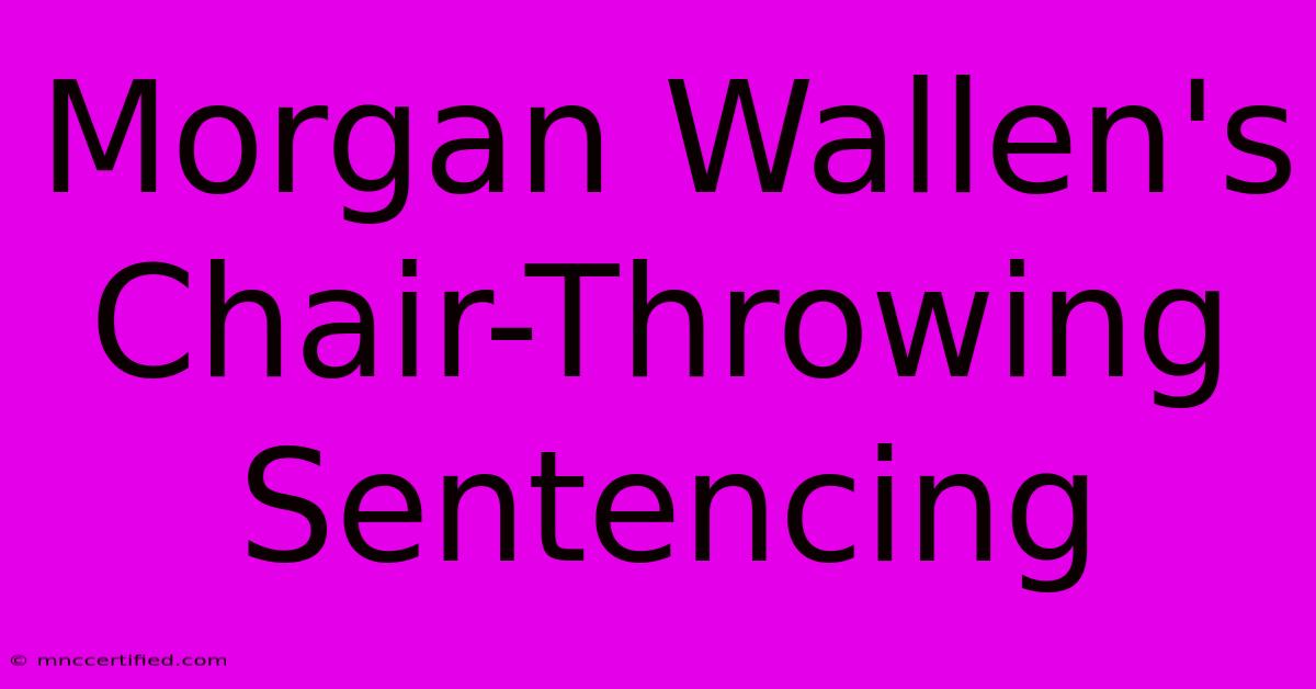 Morgan Wallen's Chair-Throwing Sentencing