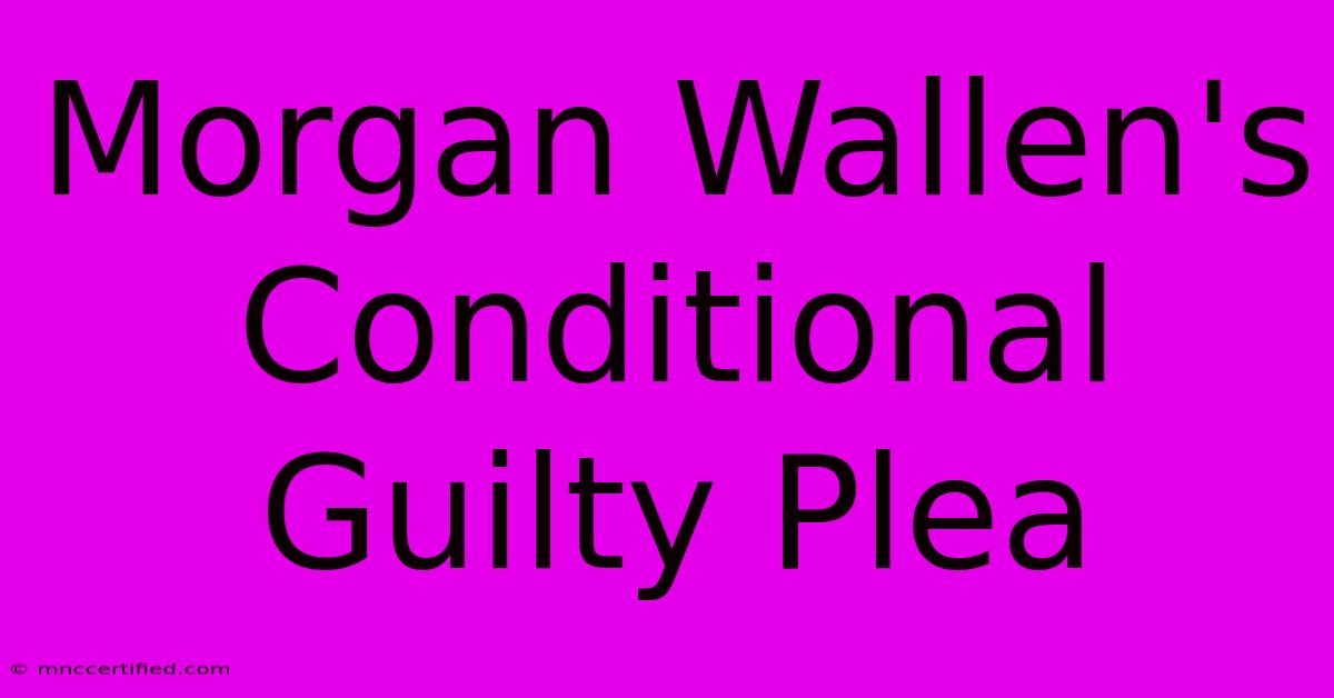 Morgan Wallen's Conditional Guilty Plea