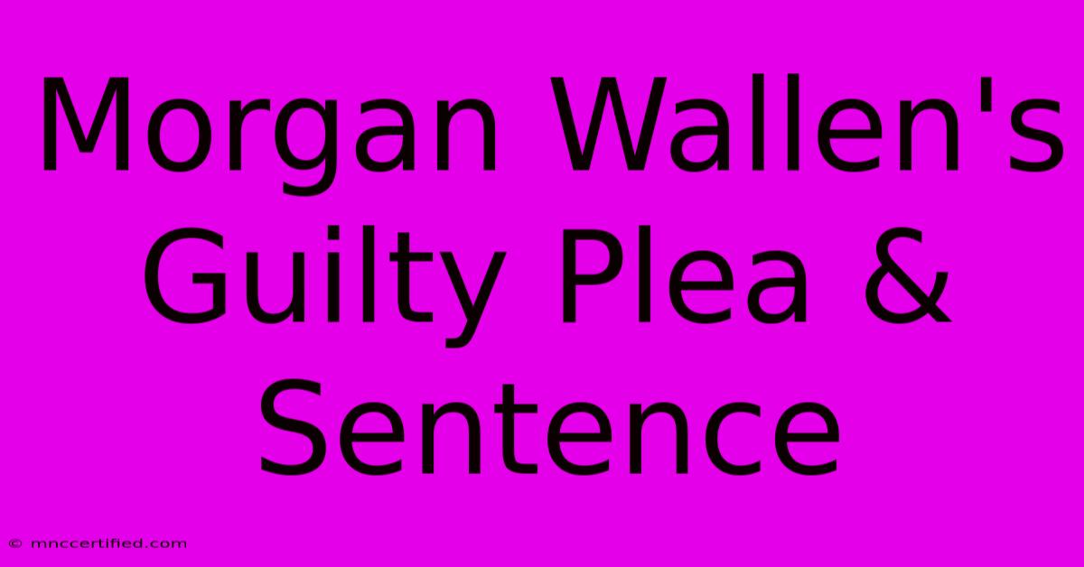 Morgan Wallen's Guilty Plea & Sentence