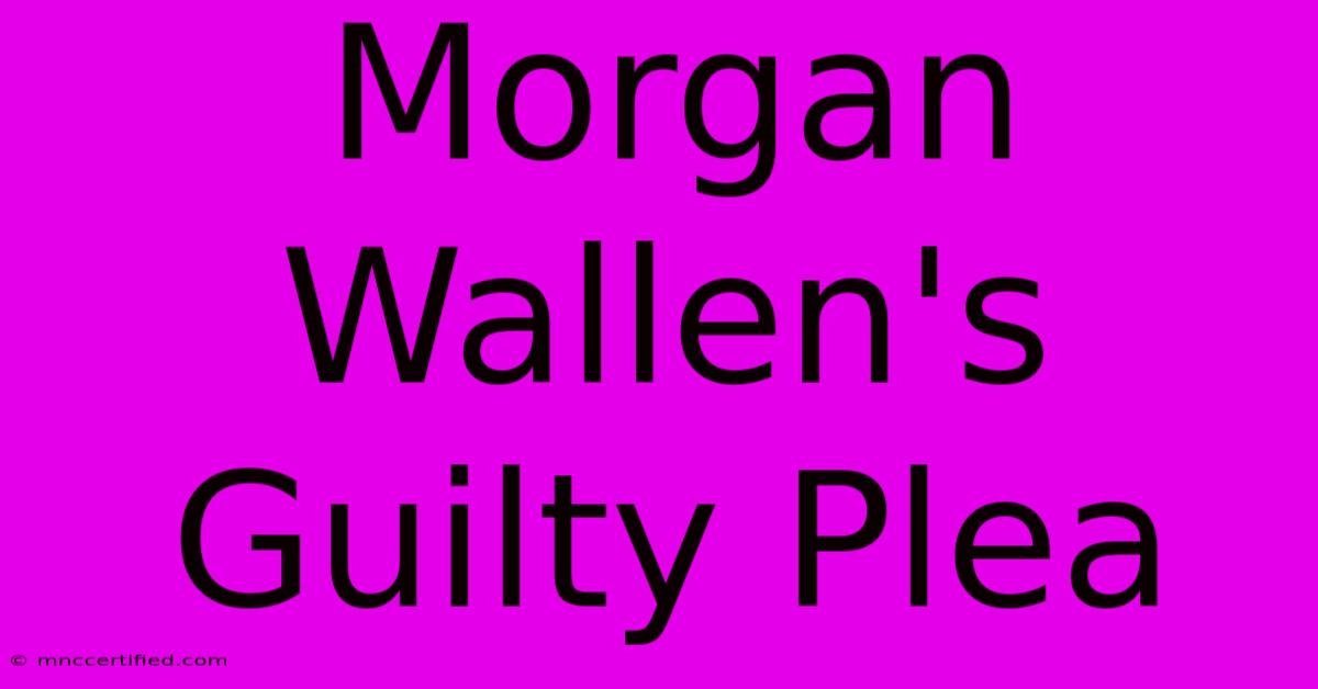 Morgan Wallen's Guilty Plea