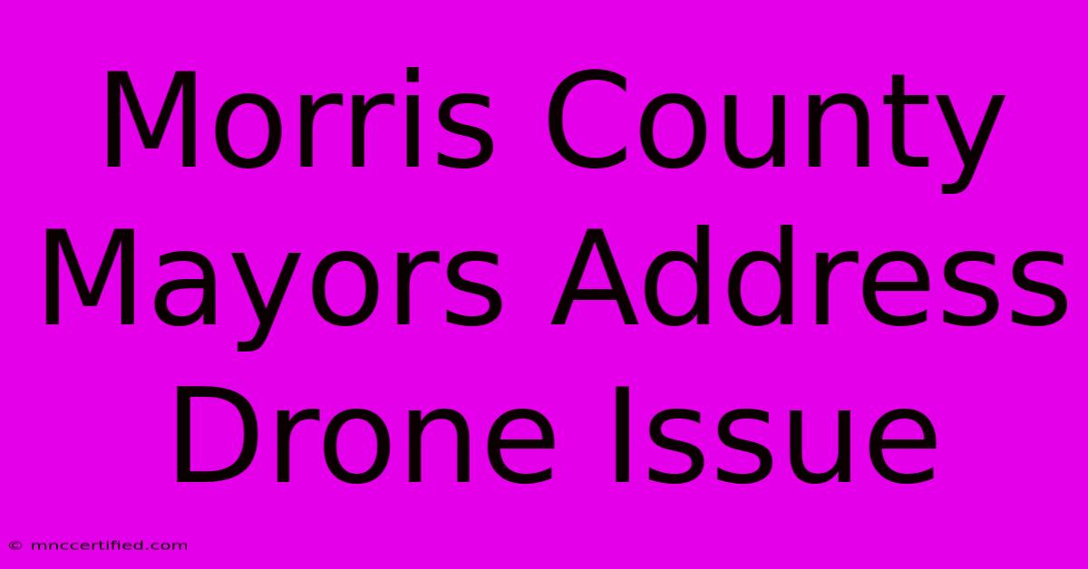 Morris County Mayors Address Drone Issue