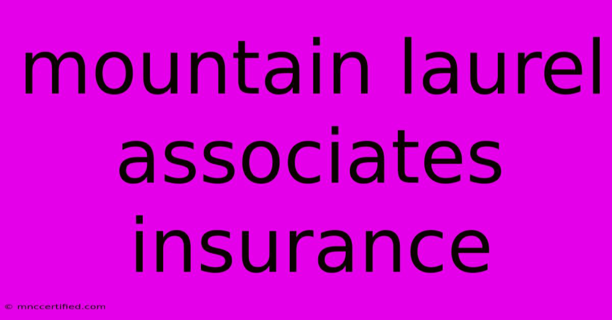 Mountain Laurel Associates Insurance