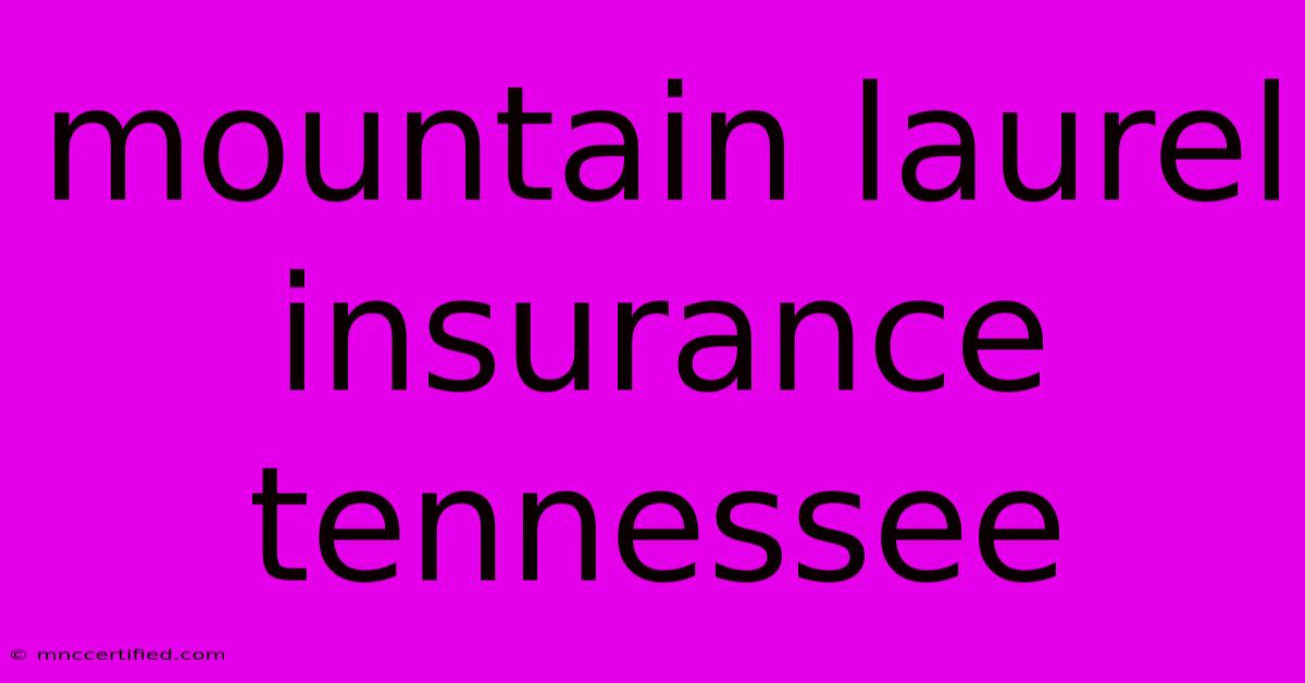 Mountain Laurel Insurance Tennessee