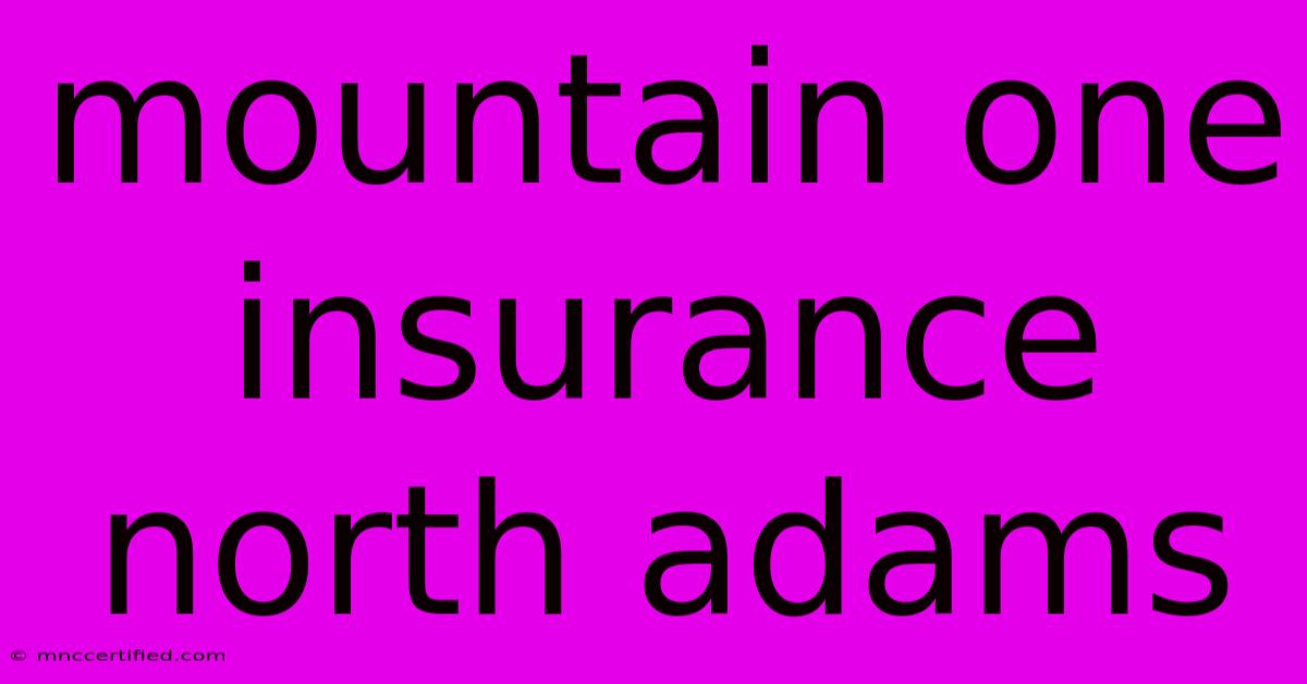 Mountain One Insurance North Adams