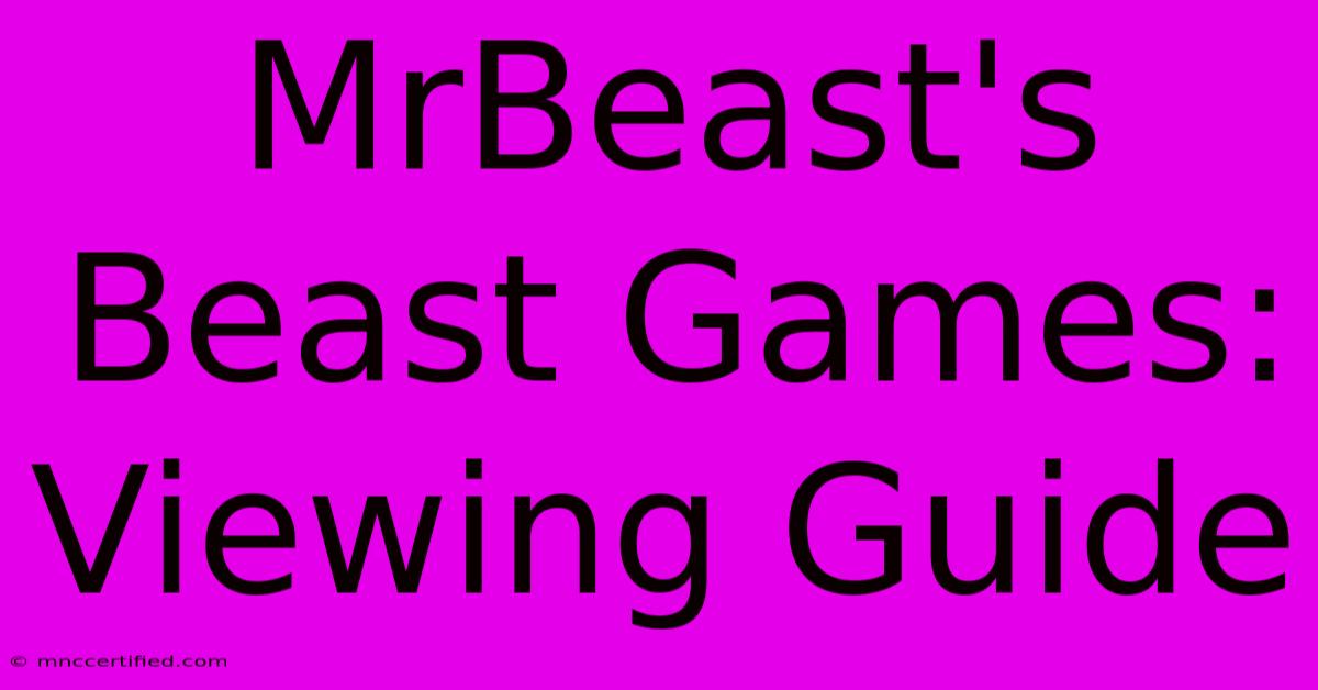 MrBeast's Beast Games: Viewing Guide