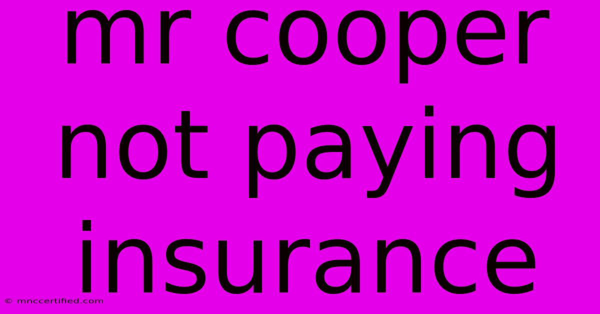 Mr Cooper Not Paying Insurance