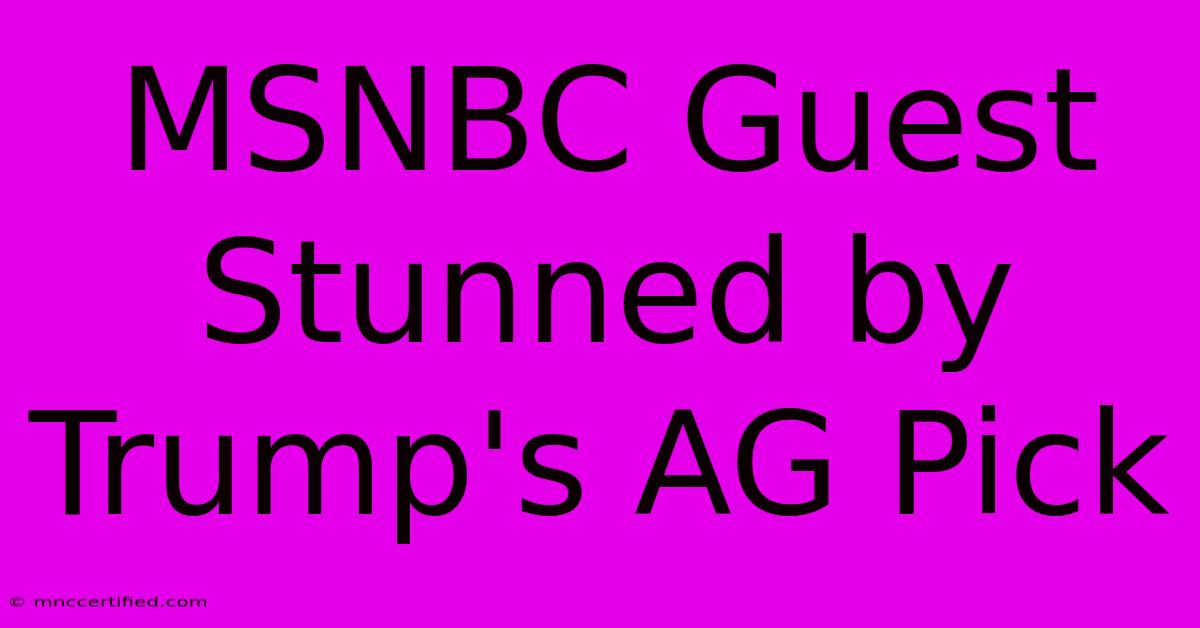 MSNBC Guest Stunned By Trump's AG Pick