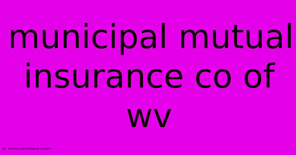 Municipal Mutual Insurance Co Of Wv