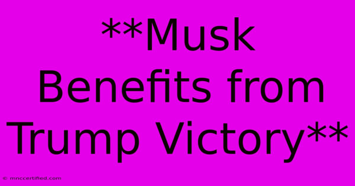 **Musk Benefits From Trump Victory**