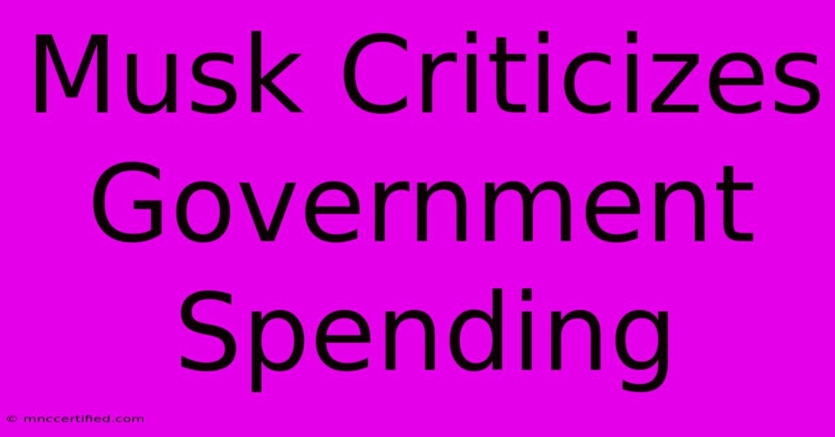 Musk Criticizes Government Spending