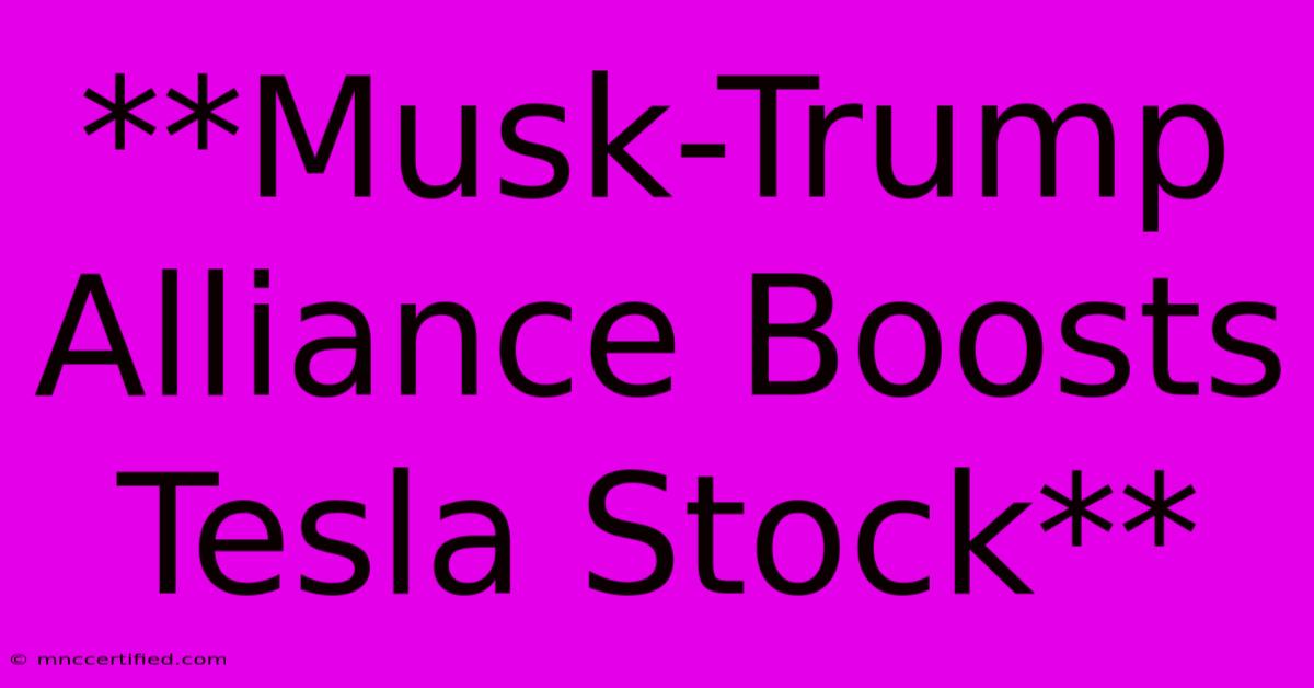 **Musk-Trump Alliance Boosts Tesla Stock**