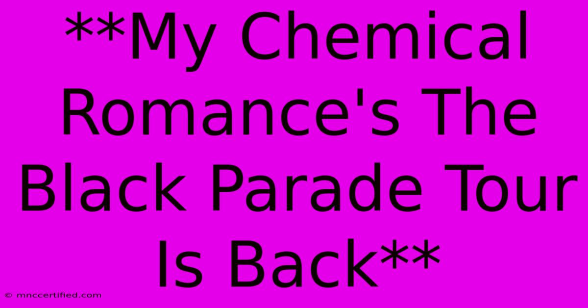 **My Chemical Romance's The Black Parade Tour Is Back**