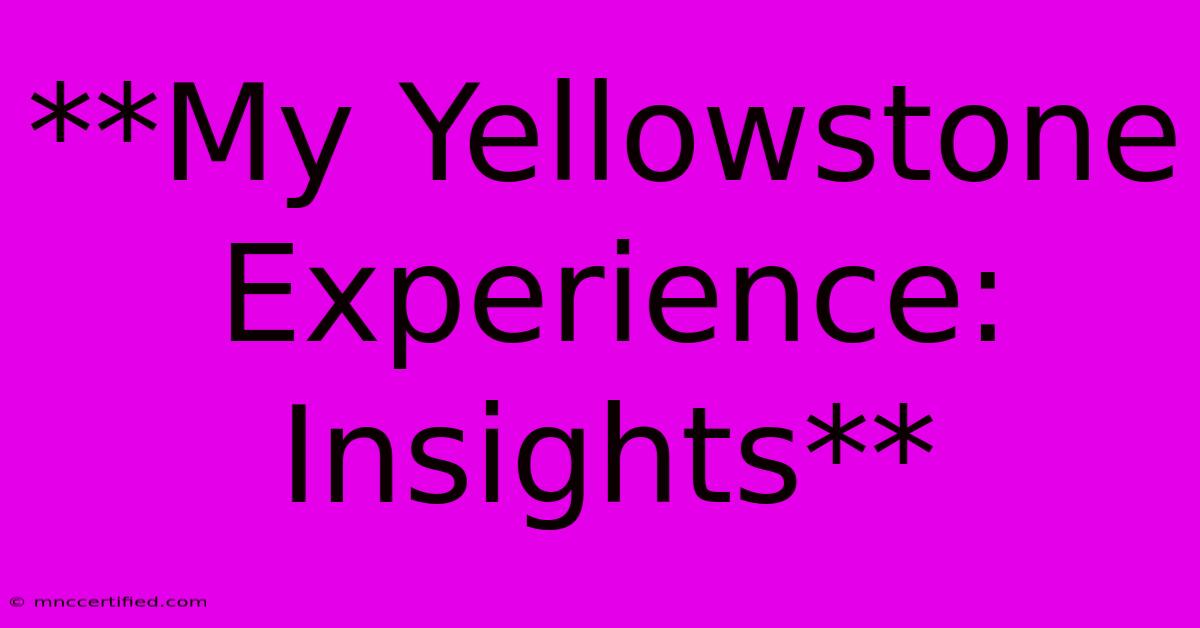 **My Yellowstone Experience: Insights**