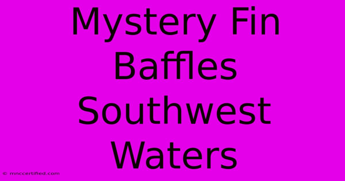 Mystery Fin Baffles Southwest Waters