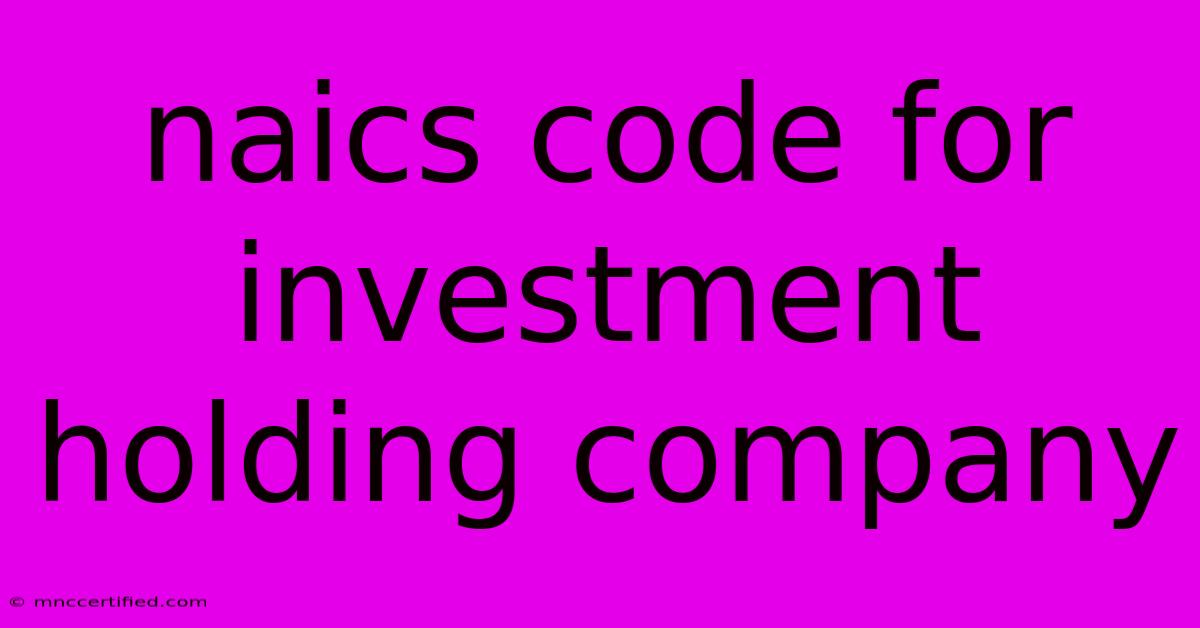 Naics Code For Investment Holding Company