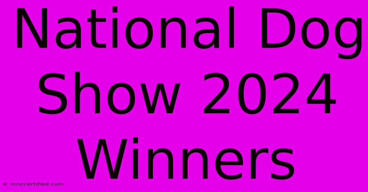 National Dog Show 2024 Winners